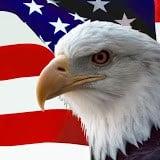American Eagle Moving & Transport, LLC