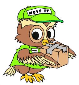Owl Move It