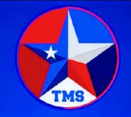Texas Moving Solutions