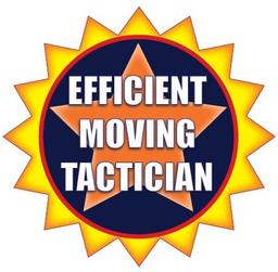 Efficient Moving Technician