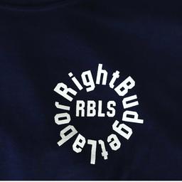 RIGHT BUDGET LABOR SERVICE