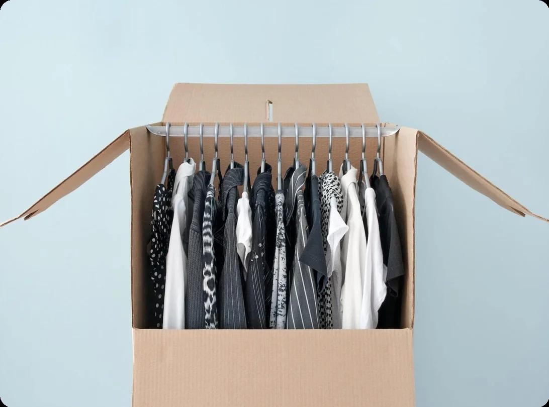 an image of a wardrobe box filled with black, white, and gray clothes hanging inside