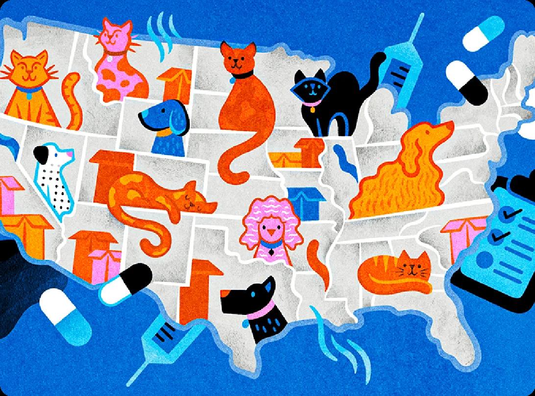 Cats and dogs across America