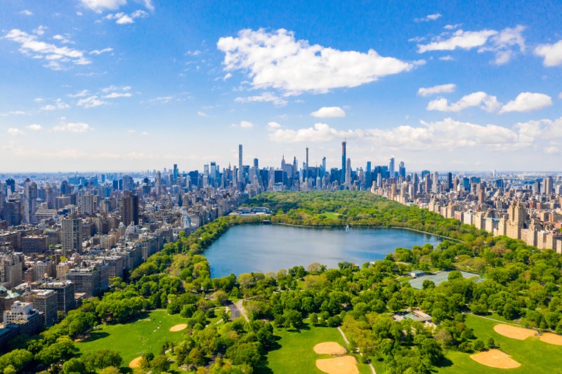 A sunny, summertime view of Central Park in New York City, NY
