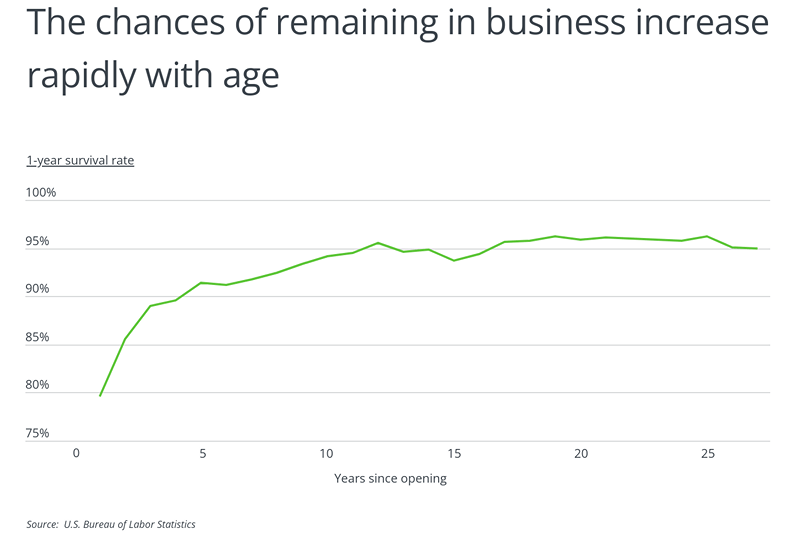 Chart depicting that the chances of remaining in business increases rapidly with age