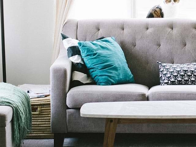 Decorated room with a couch at the center and a cat sitting on the couch